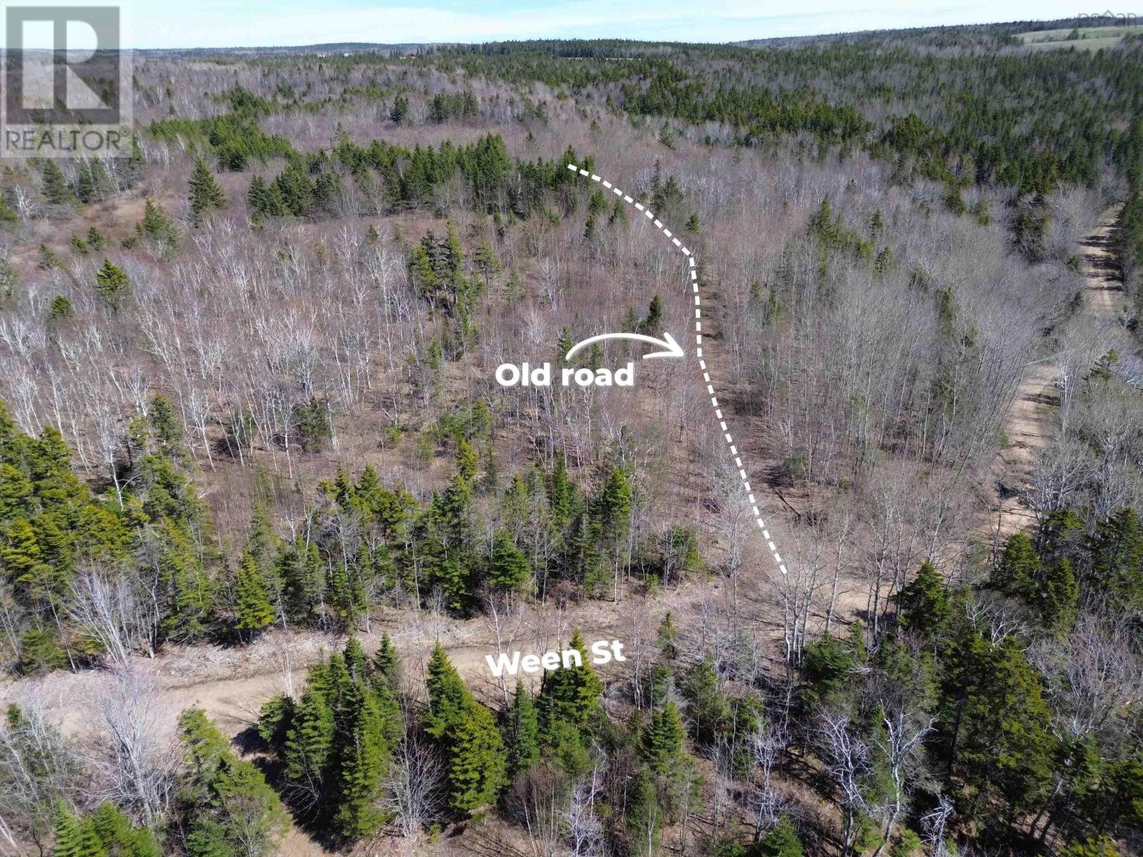 Lot Ween Street, Mount Hanley, Nova Scotia  B0S 1P0 - Photo 4 - 202609484