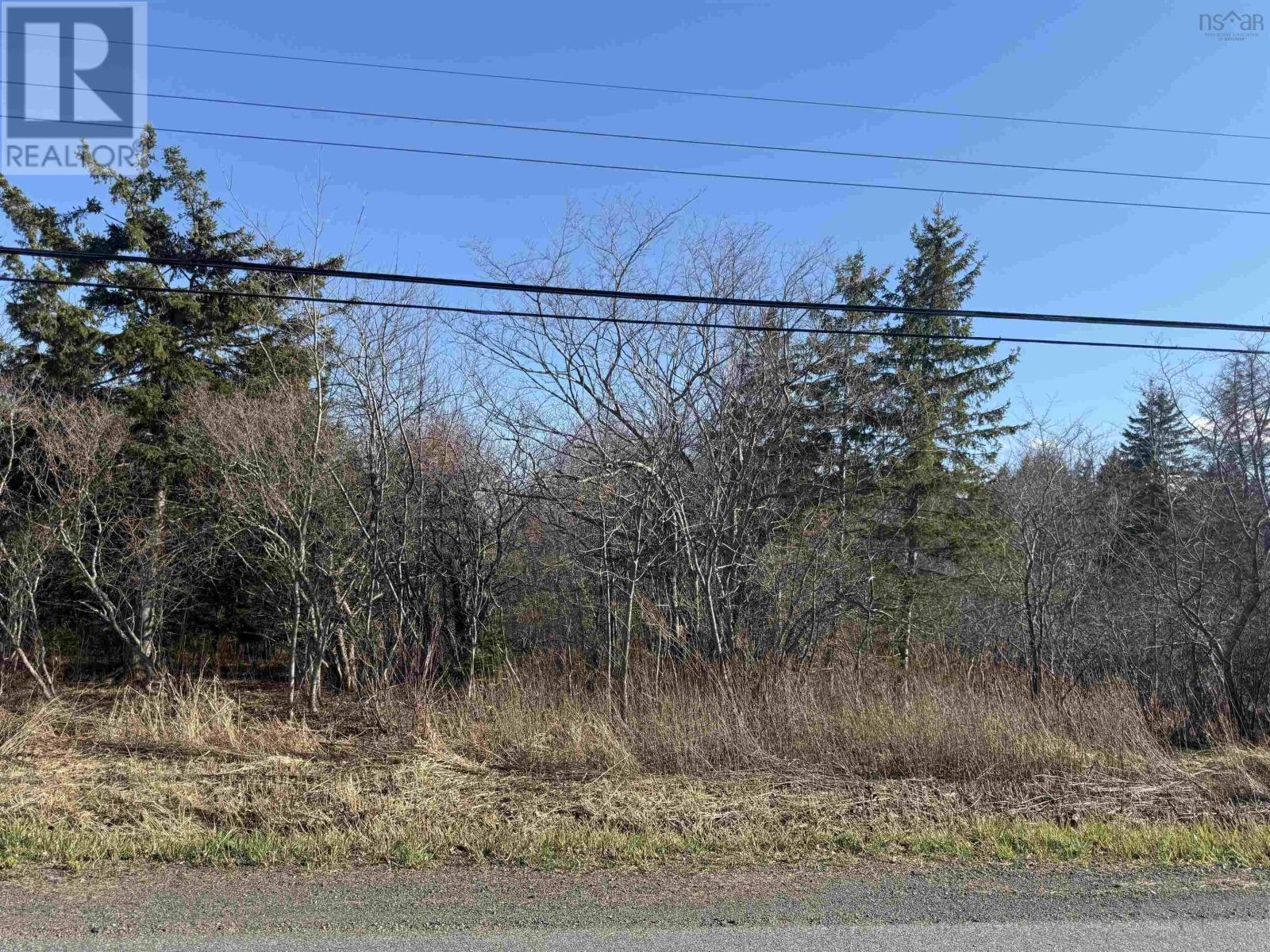 Lot Greenhill Road, Alma, Nova Scotia  B0K 2A0 - Photo 2 - 202609487