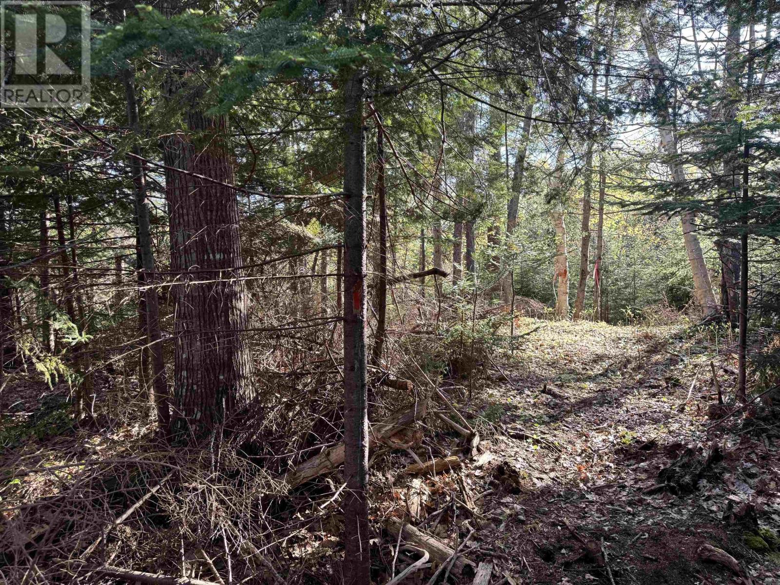 24-1 Forest Drive Extension, Pictou, Nova Scotia  B0K 1H0 - Photo 3 - 202609496