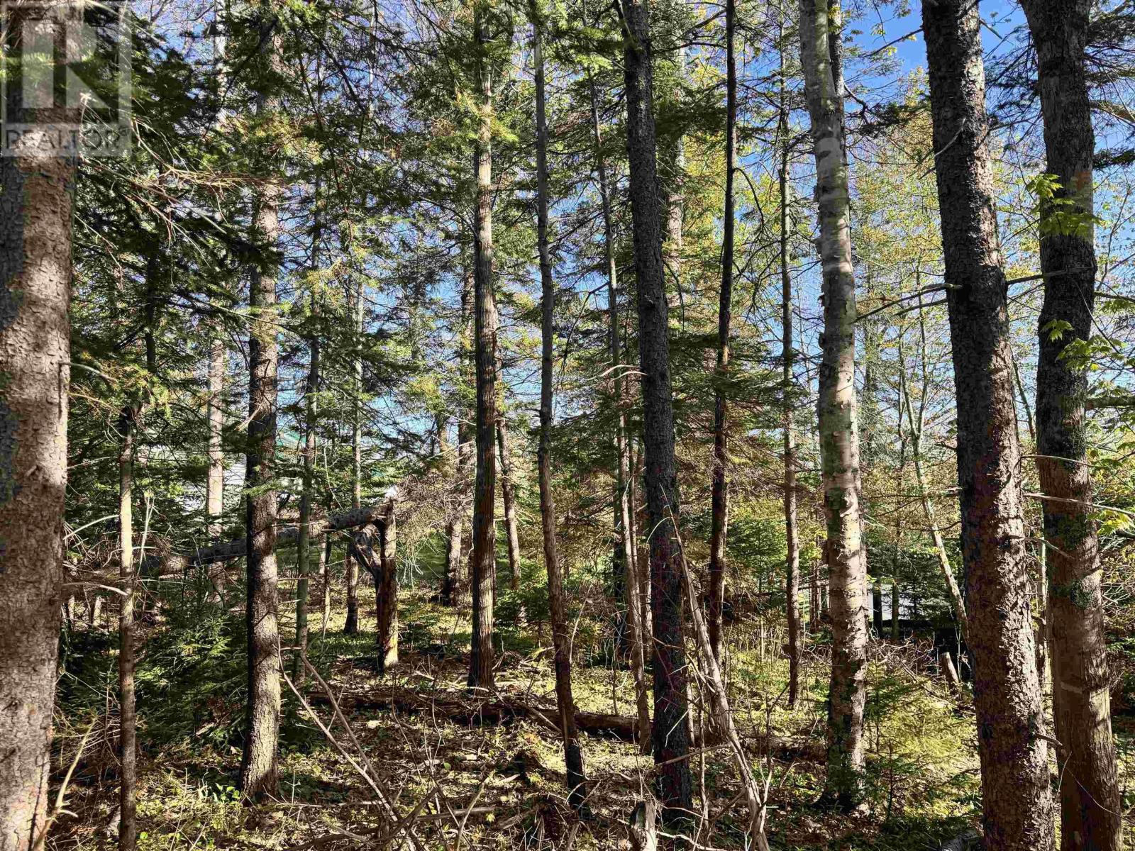 24-1 Forest Drive Extension, Pictou, Nova Scotia  B0K 1H0 - Photo 4 - 202609496