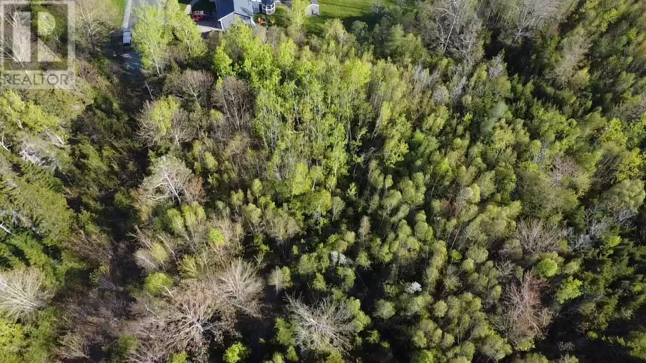 24-1 Forest Drive Extension, Pictou, Nova Scotia  B0K 1H0 - Photo 5 - 202609496