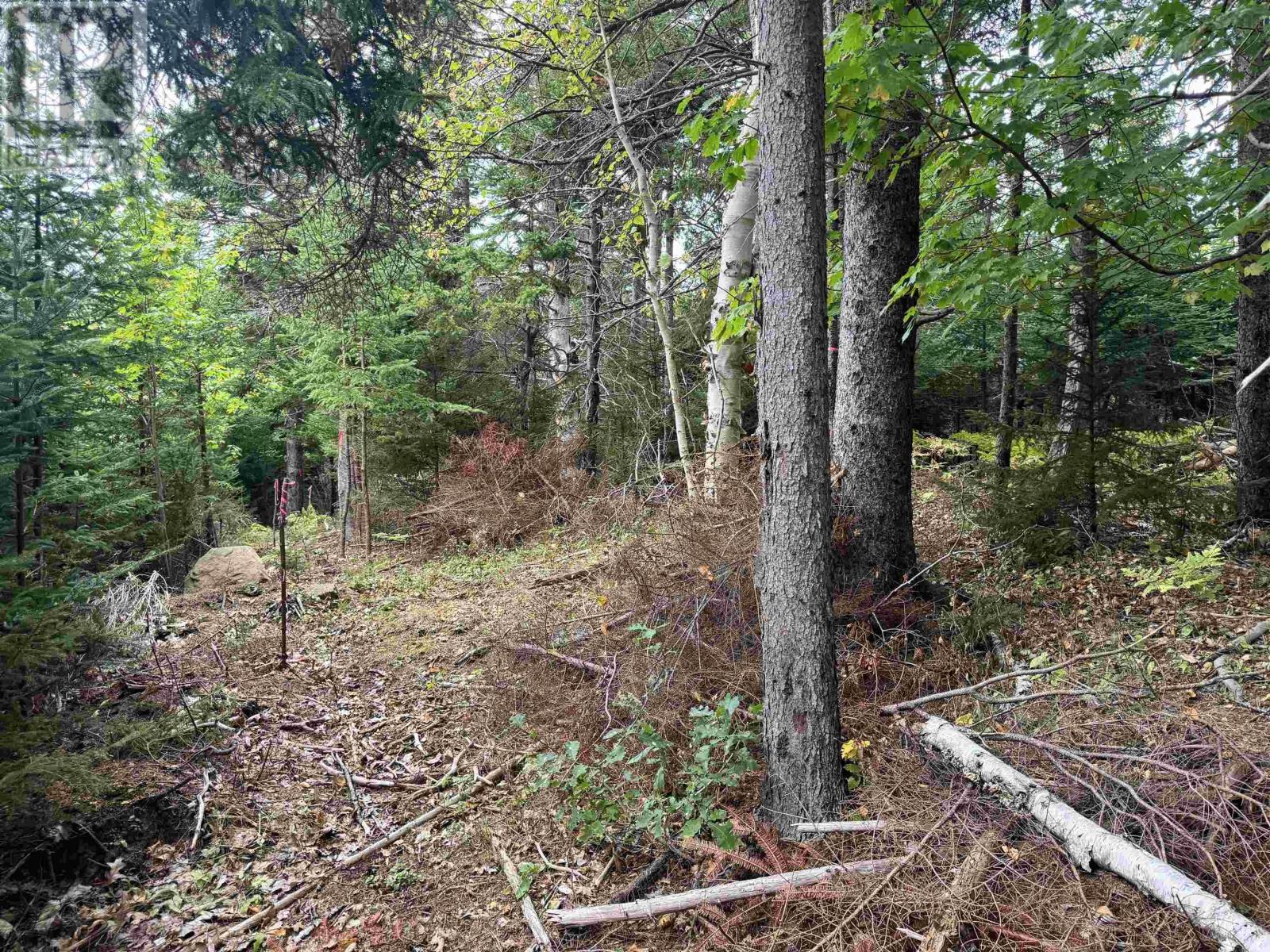 24-2 Forest Drive Extension, pictou, Nova Scotia