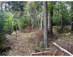 24-2 Forest Drive Extension, pictou, Nova Scotia