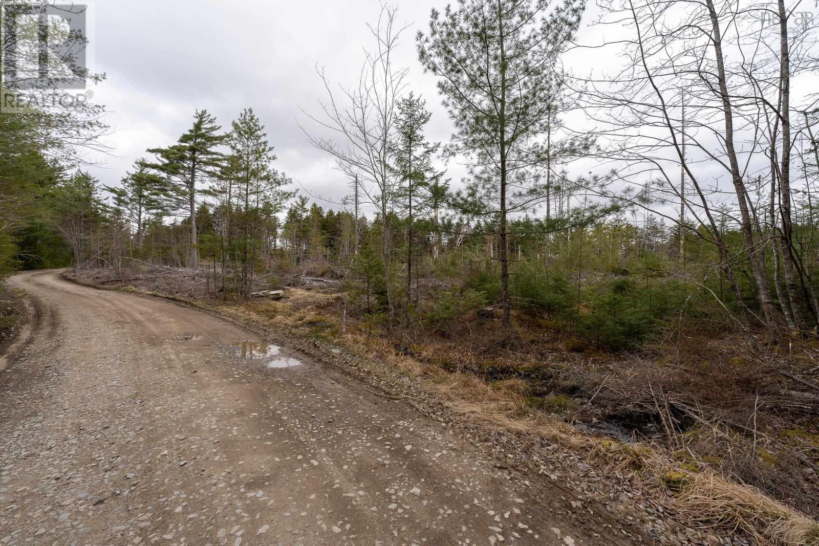 Lot 12 Patrice Road, Corberrie, Nova Scotia  B0W 3T0 - Photo 4 - 202609501