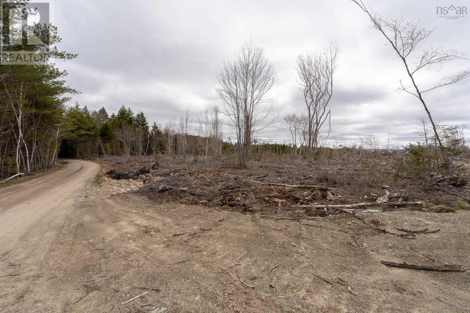 Lot 12 Patrice Road, Corberrie, Nova Scotia  B0W 3T0 - Photo 5 - 202609501
