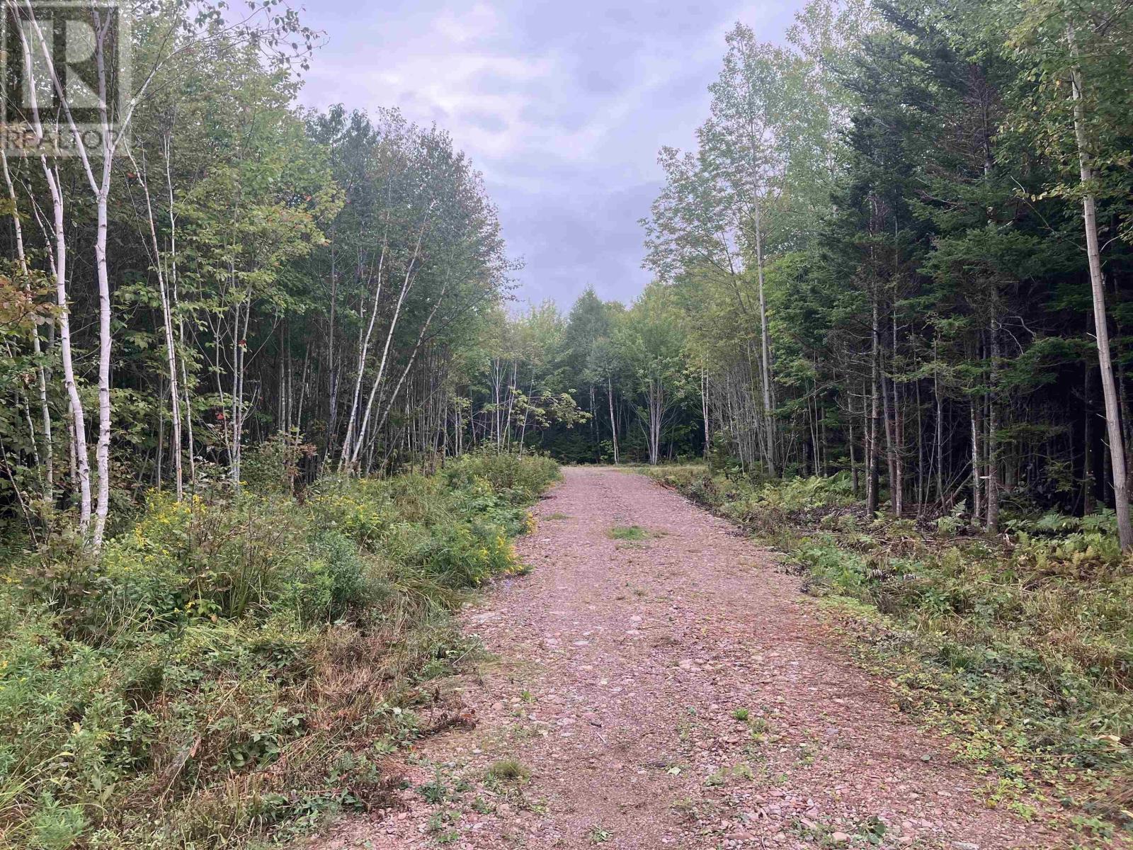Lot 2020-5 Highway 223, Little Narrows, Nova Scotia  B0E 1T0 - Photo 2 - 202609679