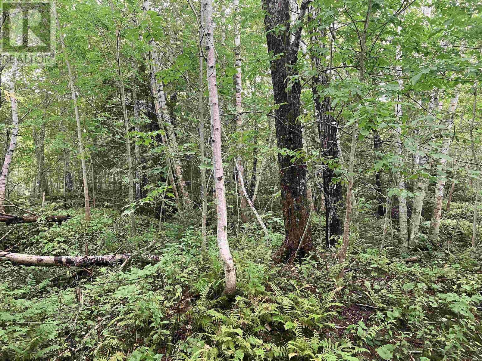 Lot 2020-5 Highway 223, Little Narrows, Nova Scotia  B0E 1T0 - Photo 5 - 202609679