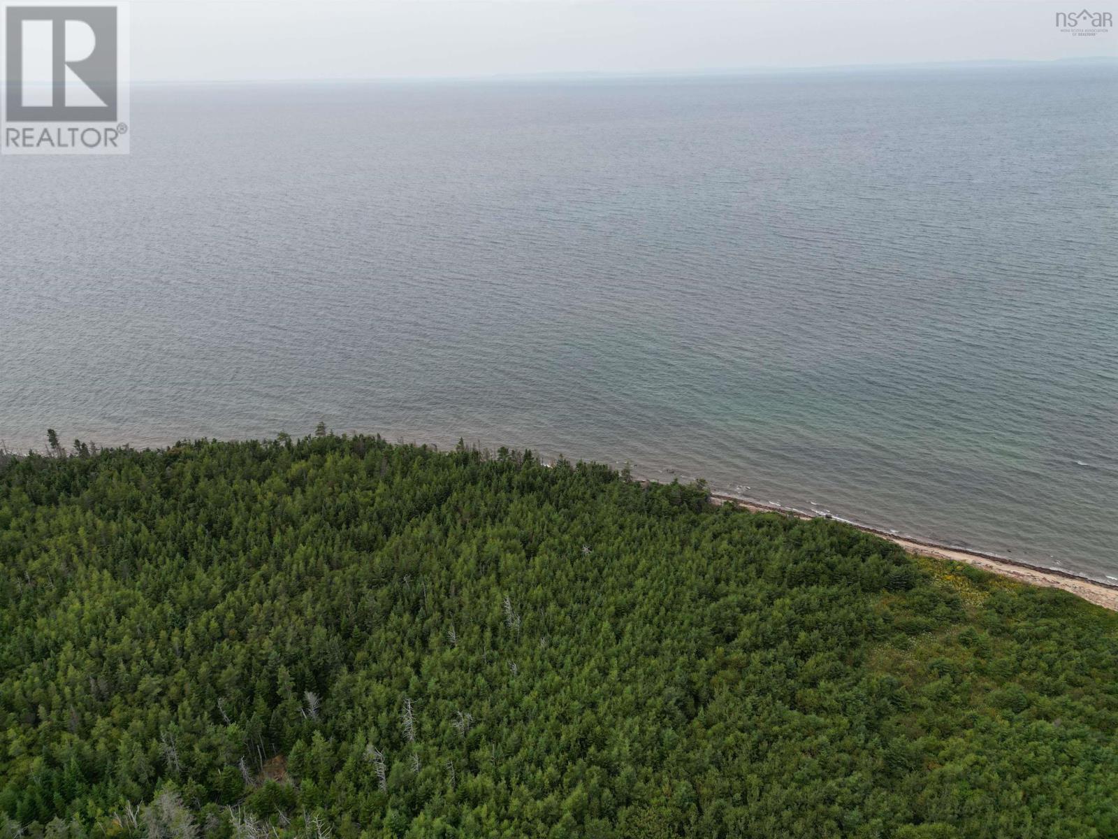 Highway 19, Judique, Nova Scotia  B0E 1P0 - Photo 11 - 202609870