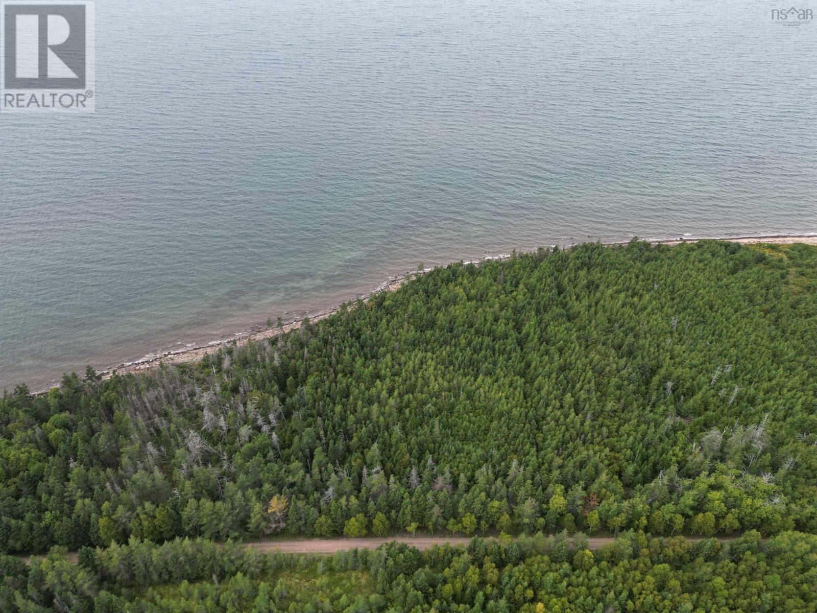 Highway 19, Judique, Nova Scotia  B0E 1P0 - Photo 12 - 202609870
