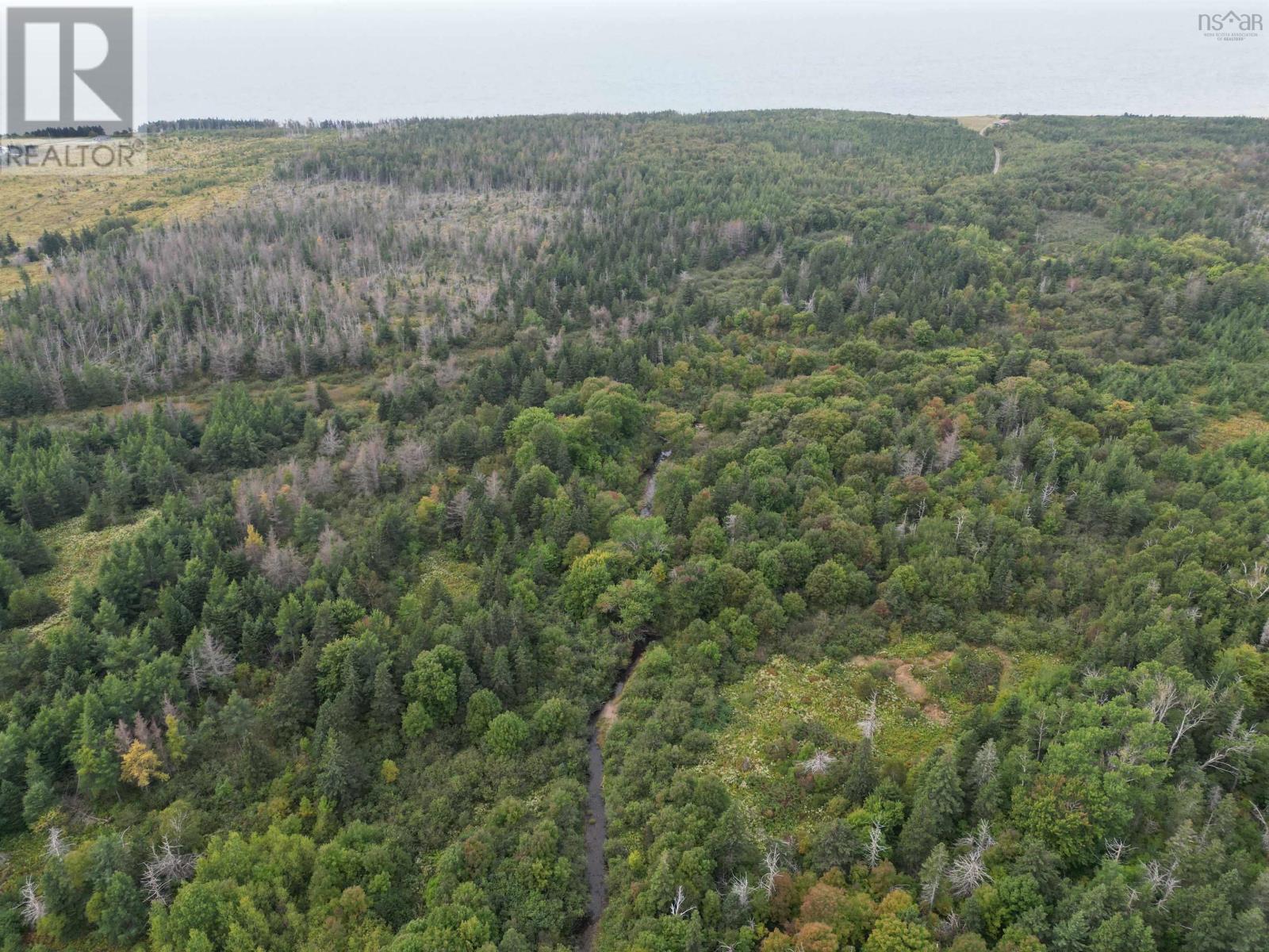 Highway 19, Judique, Nova Scotia  B0E 1P0 - Photo 13 - 202609870