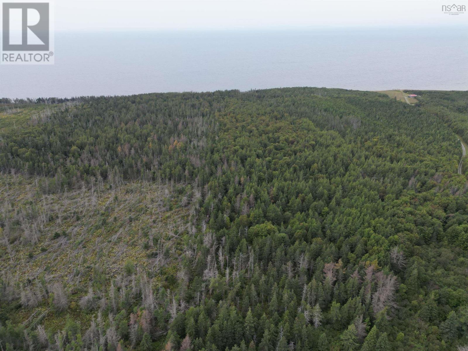 Highway 19, Judique, Nova Scotia  B0E 1P0 - Photo 15 - 202609870