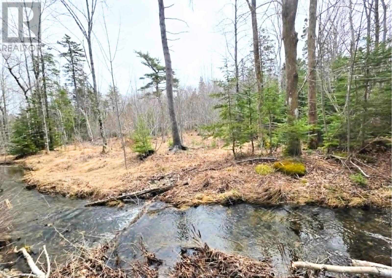 0 Upper Leitches Creek Road, Cape Breton, Nova Scotia  B2A 1Z2 - Photo 4 - 202609910