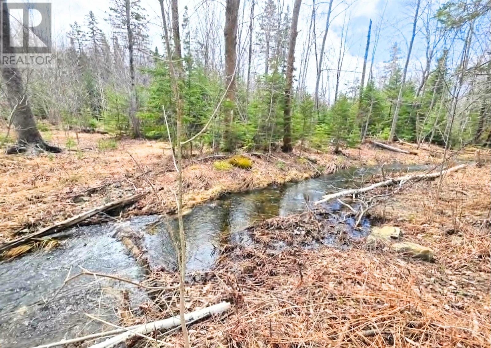 0 Upper Leitches Creek Road, Cape Breton, Nova Scotia  B2A 1Z2 - Photo 7 - 202609910