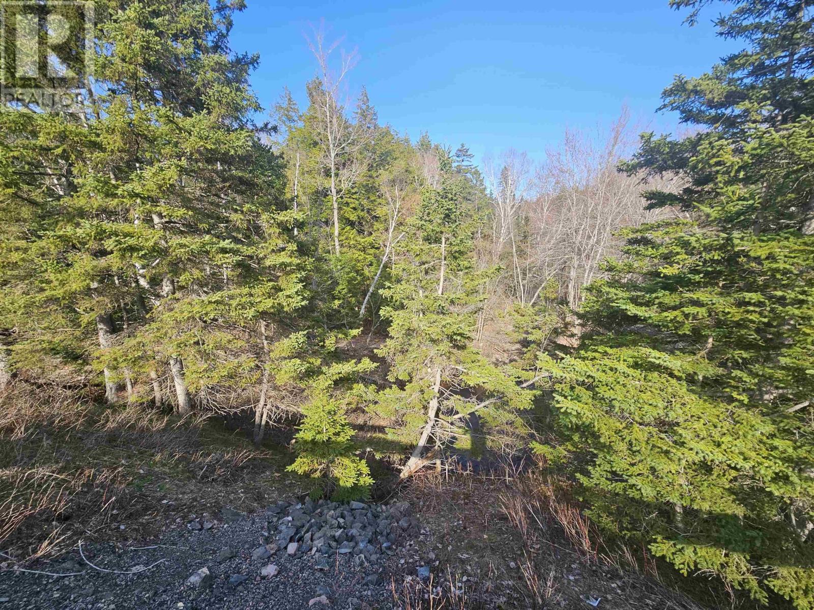 V/l 368 Highway, Wentworth, Nova Scotia  B0M 1Z0 - Photo 6 - 202609969