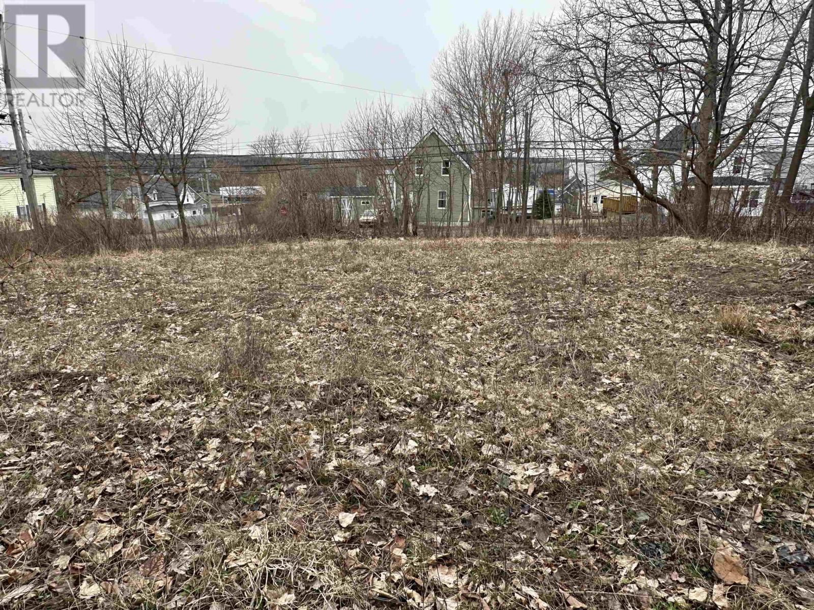 Lot 38 High Street, Trenton, Nova Scotia  B0K 1X0 - Photo 6 - 202609971