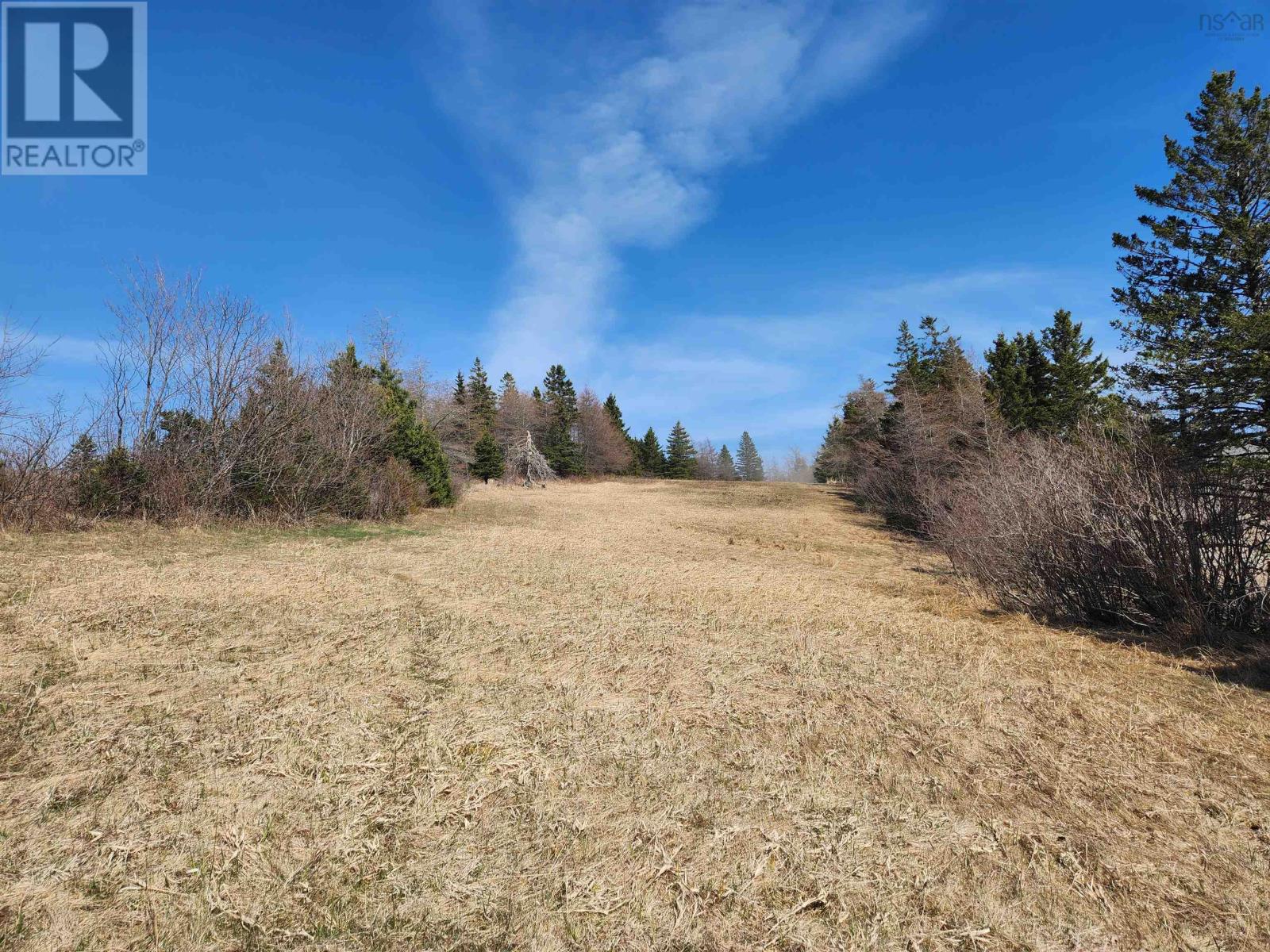 Lot 1 Loch Lomond Road, Enon, Nova Scotia  B1J 1X1 - Photo 2 - 202610204