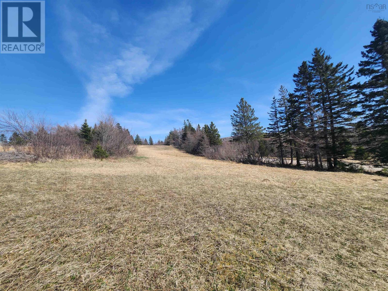 Lot 1 Loch Lomond Road, Enon, Nova Scotia  B1J 1X1 - Photo 3 - 202610204