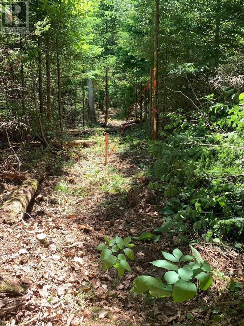 Lot 22-4 Little Harbour Road, Frasers Mountain, Nova Scotia  B2H 3T5 - Photo 7 - 202610297