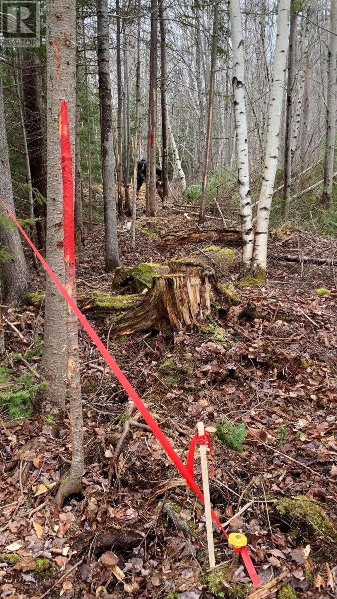 Lot 24-4 Little Harbour Road, Frasers Mountain, Nova Scotia  B2H 3T5 - Photo 12 - 202610298