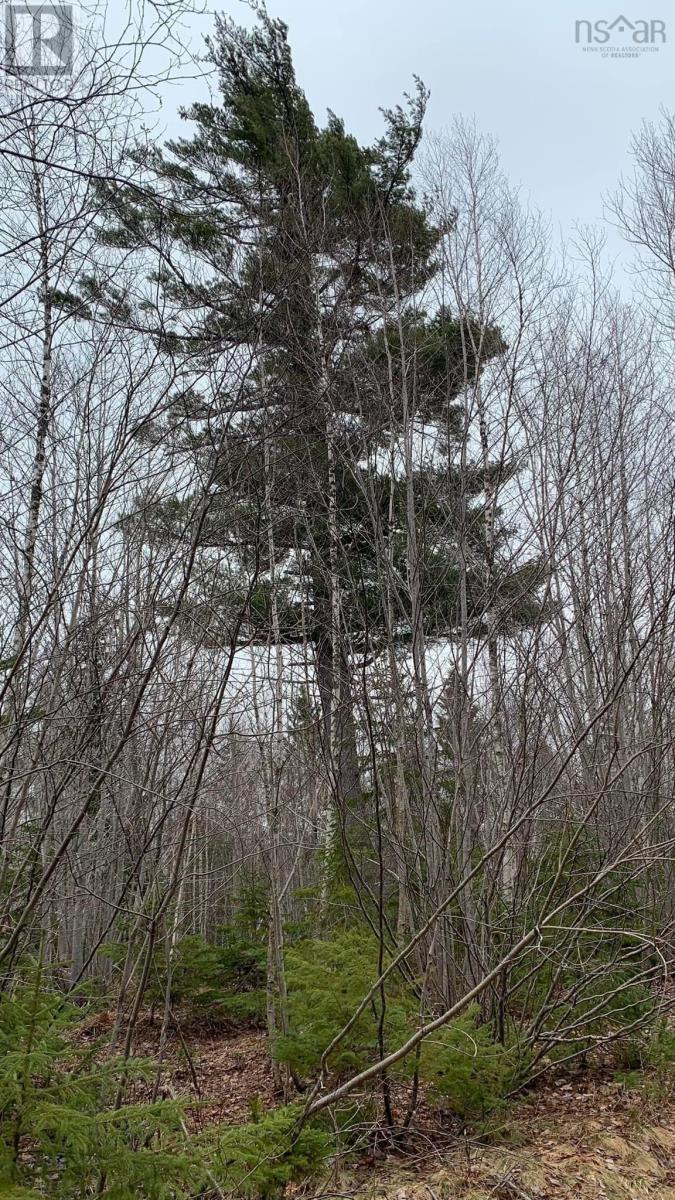 Lot 24-4 Little Harbour Road, Frasers Mountain, Nova Scotia  B2H 3T5 - Photo 13 - 202610298