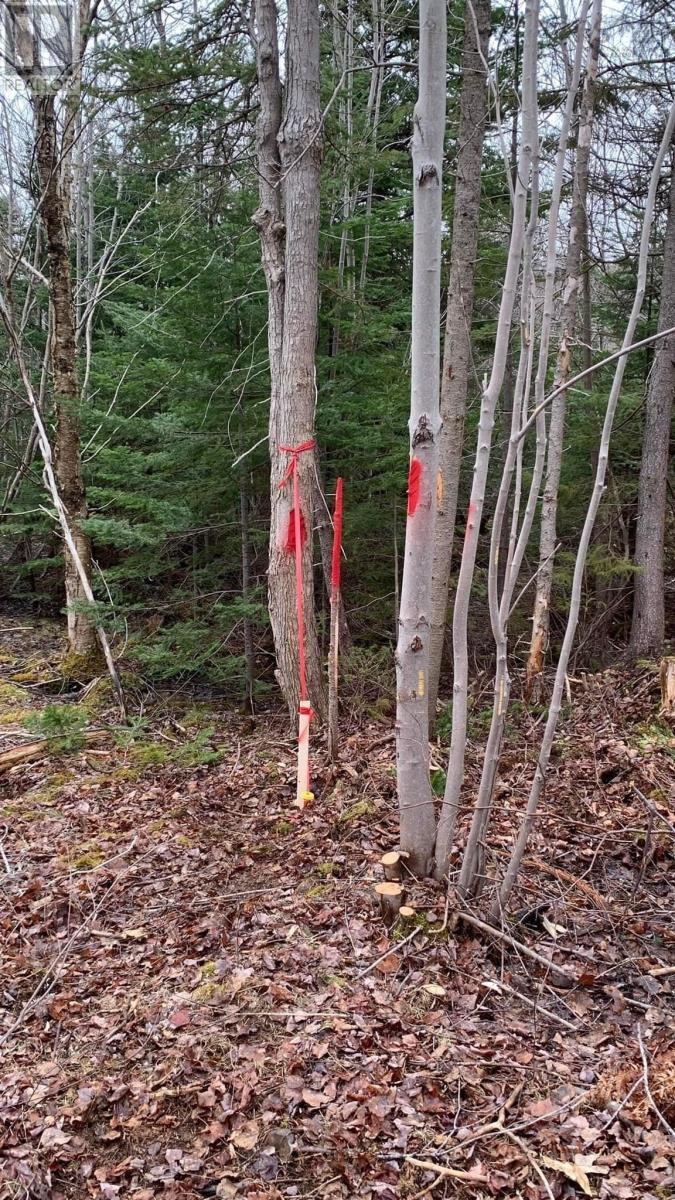 Lot 24-4 Little Harbour Road, Frasers Mountain, Nova Scotia  B2H 3T5 - Photo 4 - 202610298