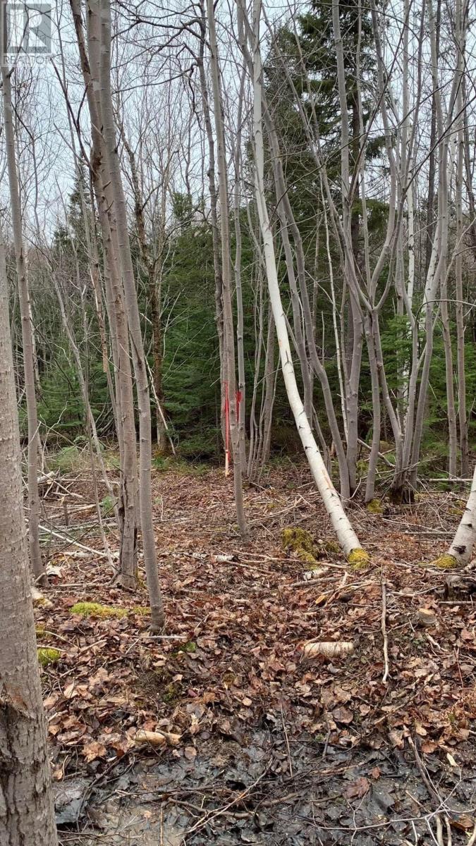 Lot 24-4 Little Harbour Road, Frasers Mountain, Nova Scotia  B2H 3T5 - Photo 5 - 202610298