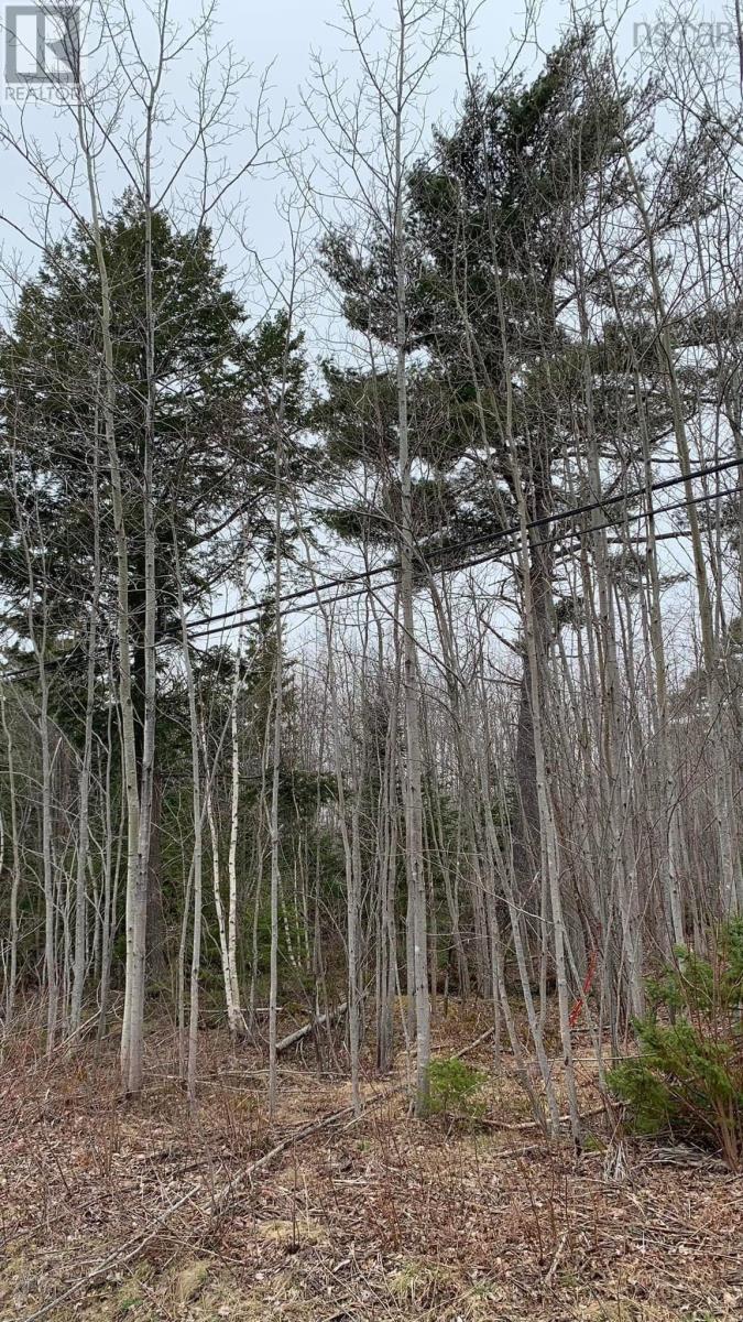Lot 24-4 Little Harbour Road, Frasers Mountain, Nova Scotia  B2H 3T5 - Photo 8 - 202610298