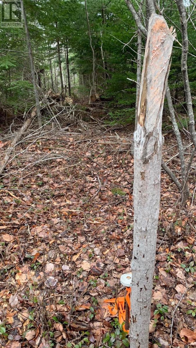 Lot 24-4 Little Harbour Road, Frasers Mountain, Nova Scotia  B2H 3T5 - Photo 9 - 202610298
