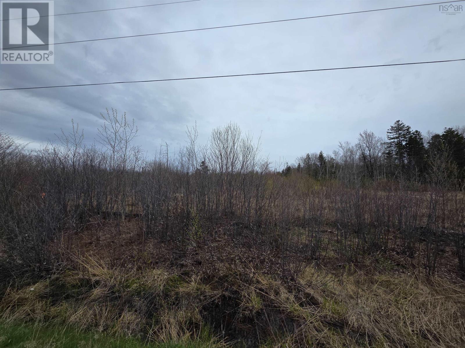 Ridge Road, North Range, Nova Scotia  B0W 1H0 - Photo 10 - 202610368