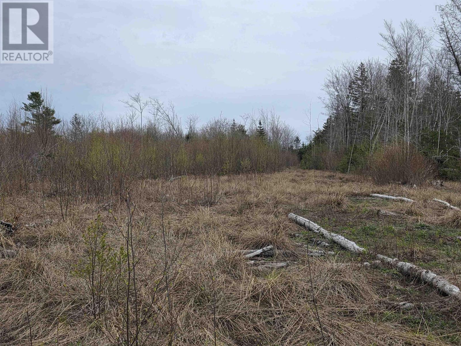 Ridge Road, North Range, Nova Scotia  B0W 1H0 - Photo 14 - 202610368