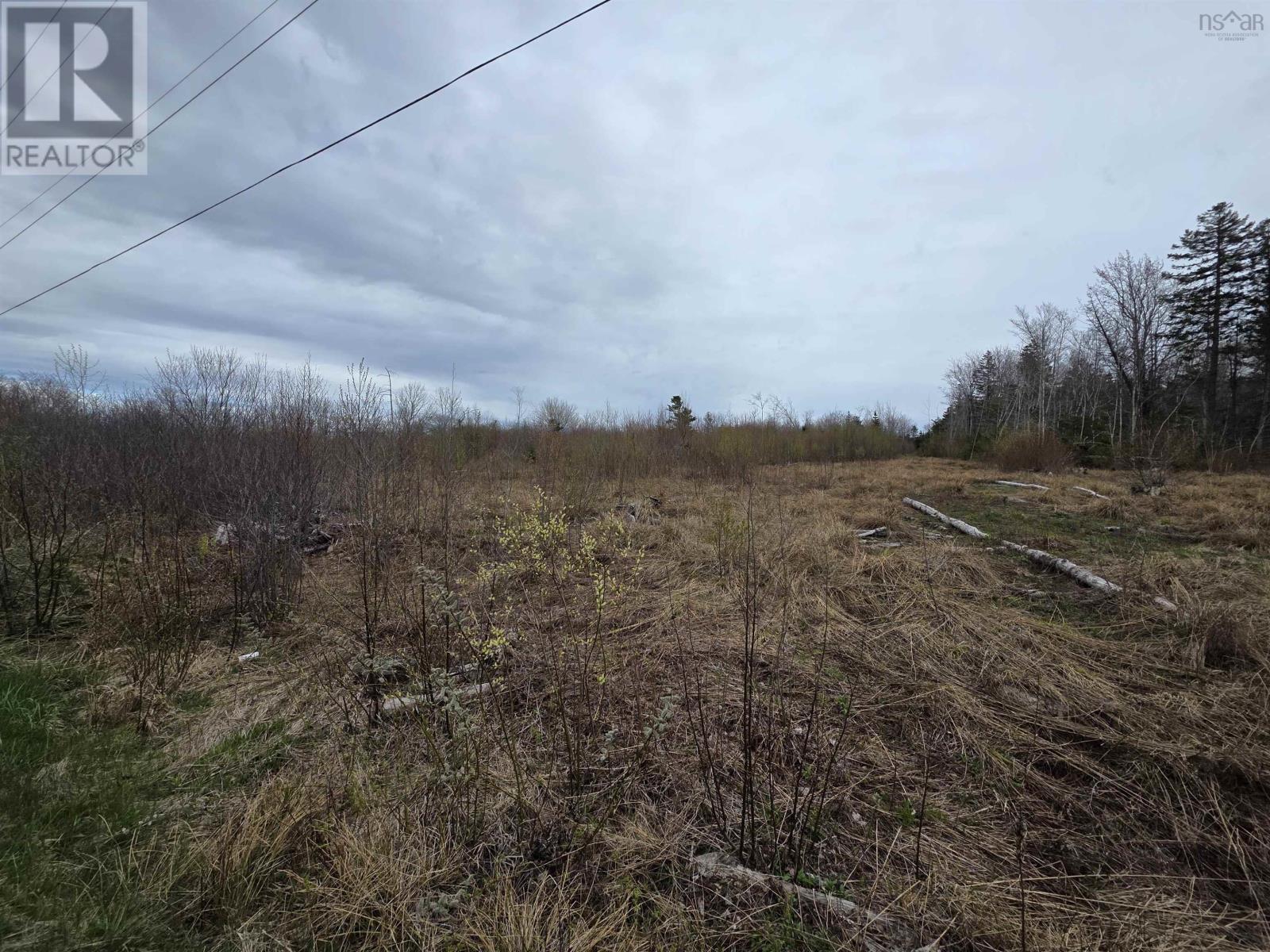 Ridge Road, North Range, Nova Scotia  B0W 1H0 - Photo 16 - 202610368