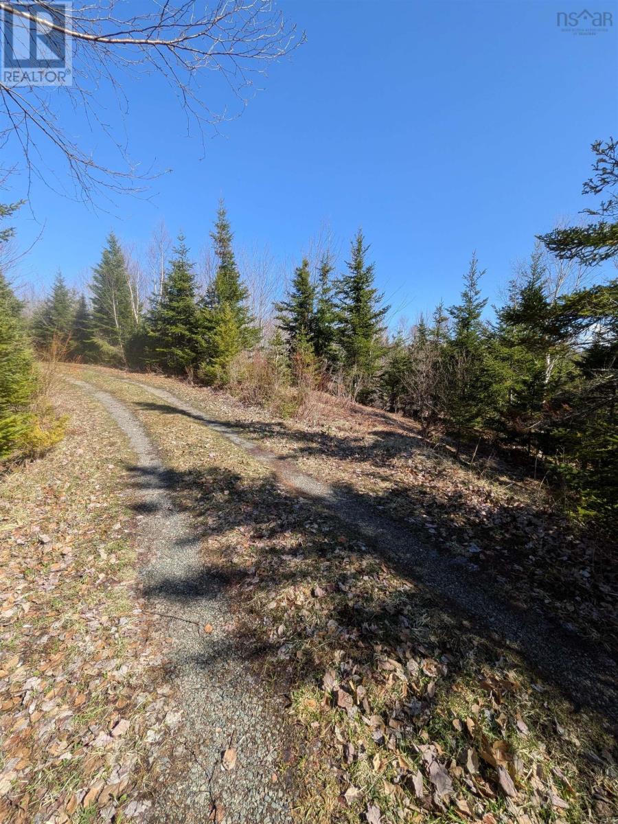 1223 Highway 223, Estmere, Nova Scotia  B0E 1T0 - Photo 24 - 202610422