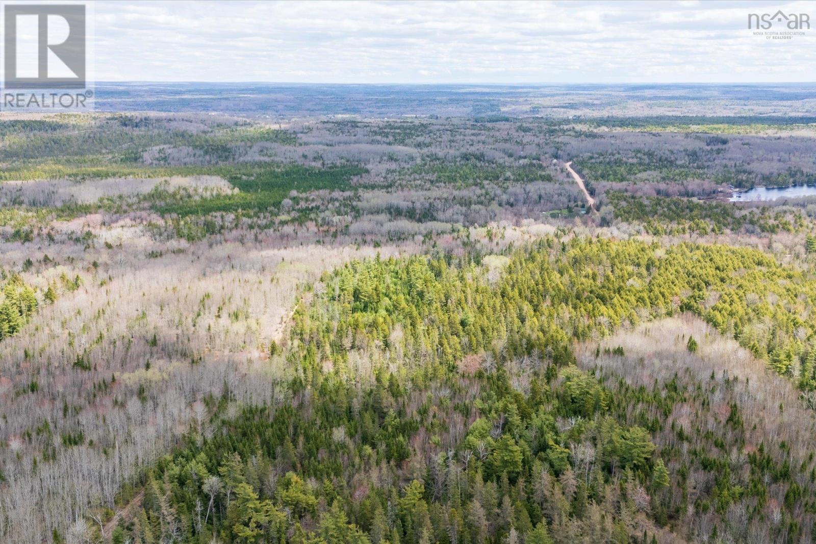 1170 Highway 10, Springfield, Nova Scotia  B0R 1H0 - Photo 26 - 202610558