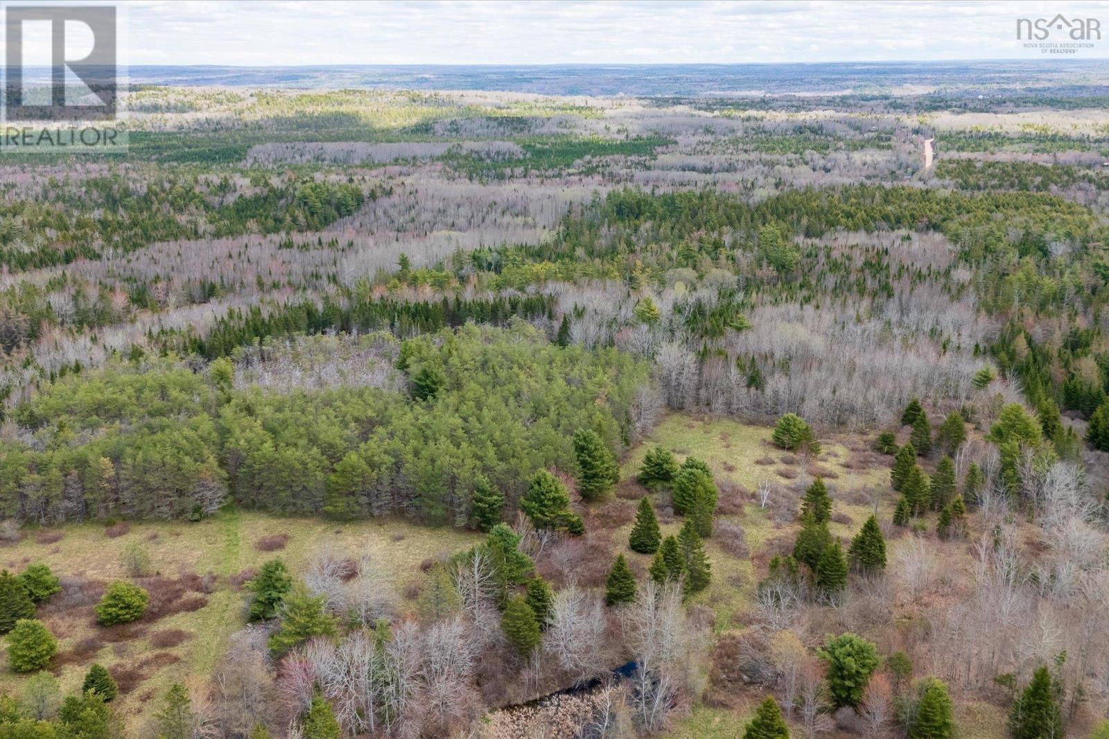 1170 Highway 10, Springfield, Nova Scotia  B0R 1H0 - Photo 6 - 202610558
