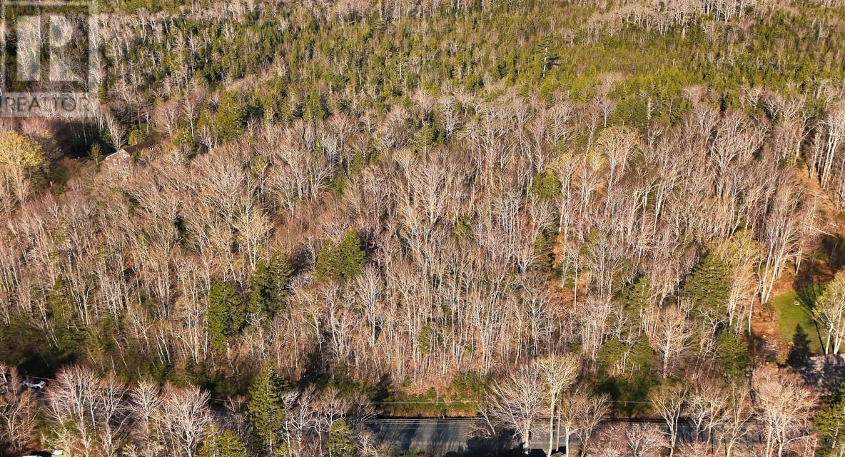 Lot 1&2, Mood Road, Summerville, Nova Scotia  B5A 5N6 - Photo 10 - 202610670