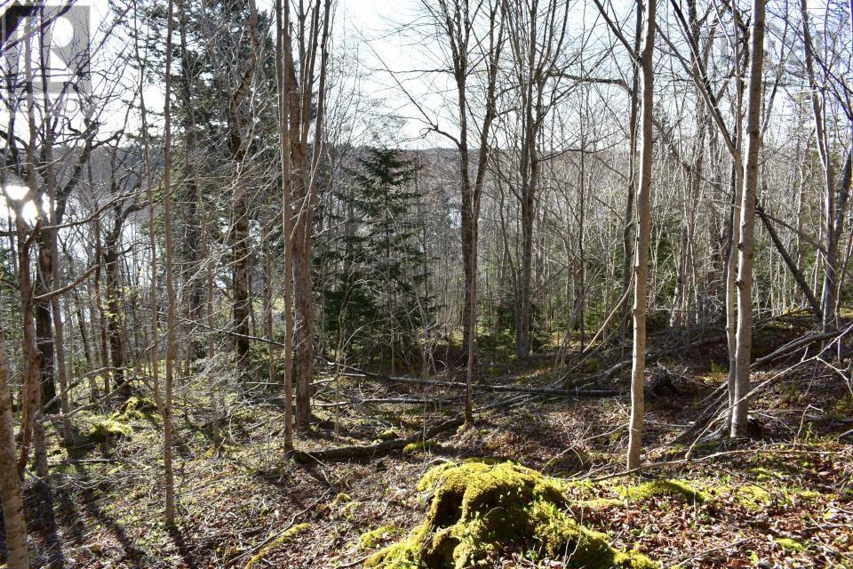 Lot 1&2, Mood Road, Summerville, Nova Scotia  B5A 5N6 - Photo 13 - 202610670