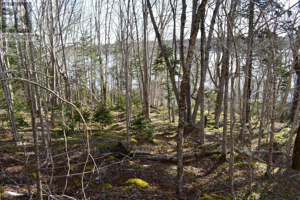 Lot 1&2, Mood Road, Summerville, Nova Scotia  B5A 5N6 - Photo 14 - 202610670