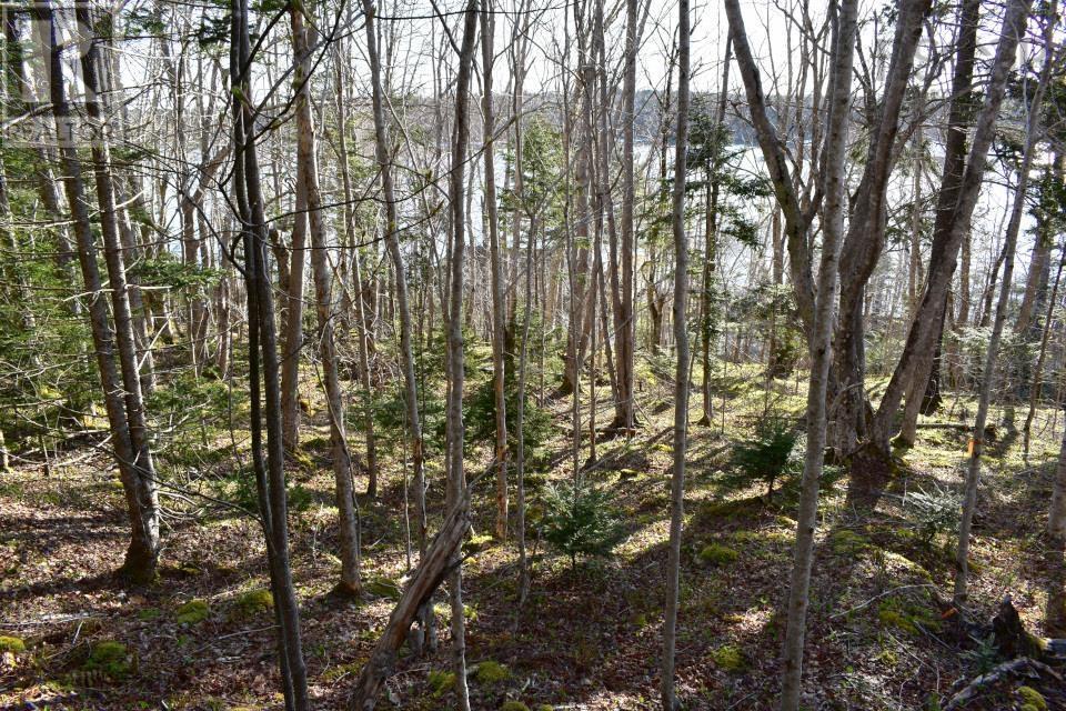 Lot 1&2, Mood Road, Summerville, Nova Scotia  B5A 5N6 - Photo 15 - 202610670
