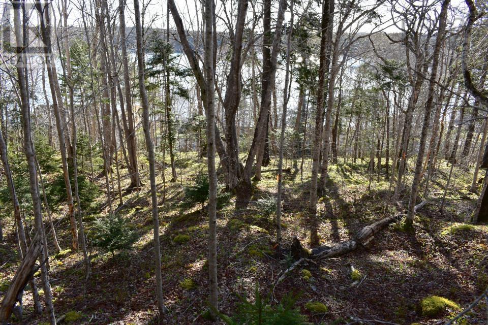 Lot 1&2, Mood Road, Summerville, Nova Scotia  B5A 5N6 - Photo 16 - 202610670