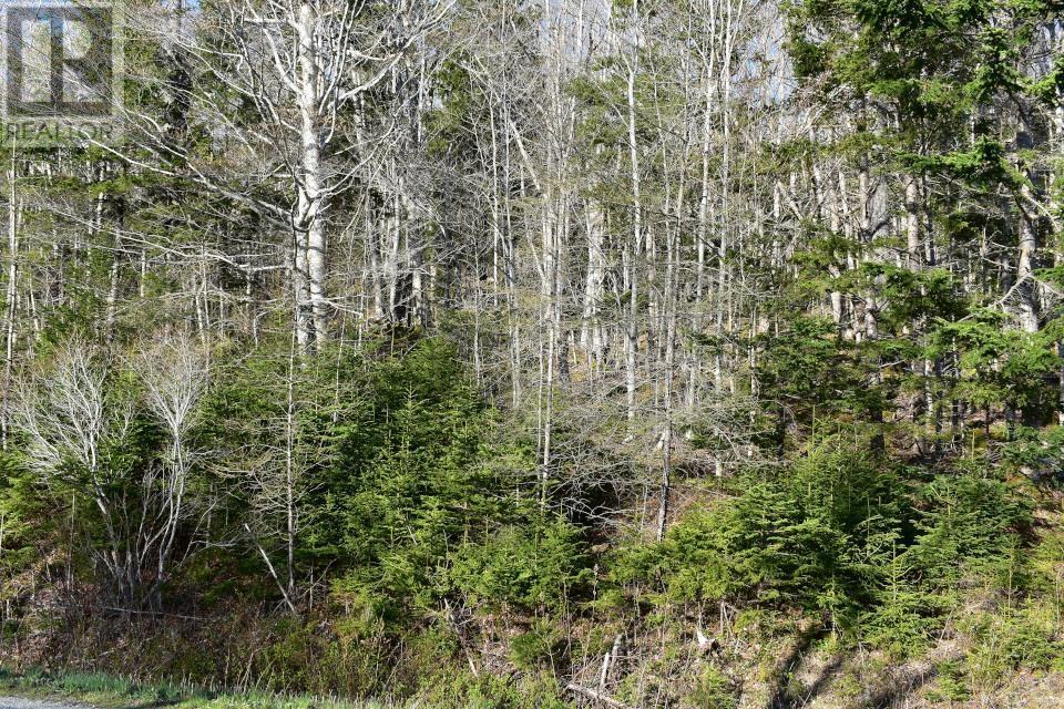 Lot 1&2, Mood Road, Summerville, Nova Scotia  B5A 5N6 - Photo 19 - 202610670