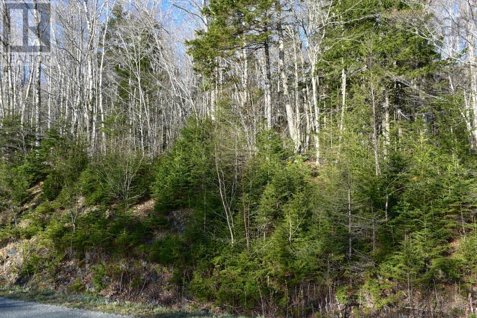 Lot 1&2, Mood Road, Summerville, Nova Scotia  B5A 5N6 - Photo 20 - 202610670