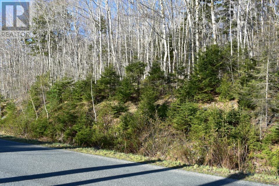 Lot 1&2, Mood Road, Summerville, Nova Scotia  B5A 5N6 - Photo 21 - 202610670