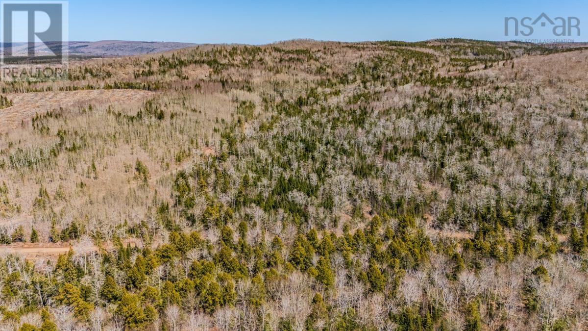 Lots Barneys River East Side Road, Kenzieville, Nova Scotia  B0K 1A0 - Photo 2 - 202610671