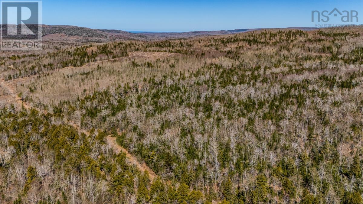 Lots Barneys River East Side Road, Kenzieville, Nova Scotia  B0K 1A0 - Photo 3 - 202610671