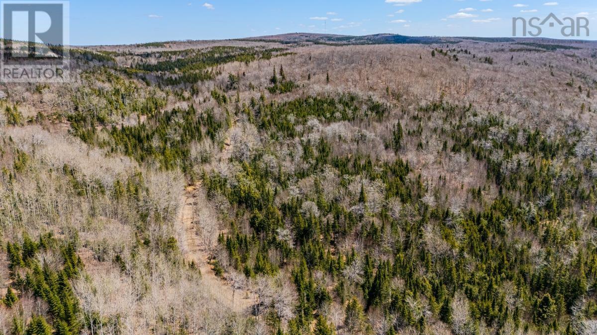 Lots Barneys River East Side Road, Kenzieville, Nova Scotia  B0K 1A0 - Photo 5 - 202610671