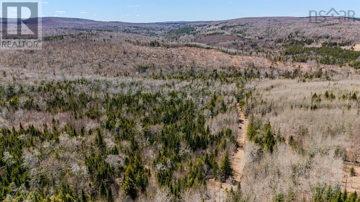 Lots Barneys River East Side Road, Kenzieville, Nova Scotia  B0K 1A0 - Photo 6 - 202610671