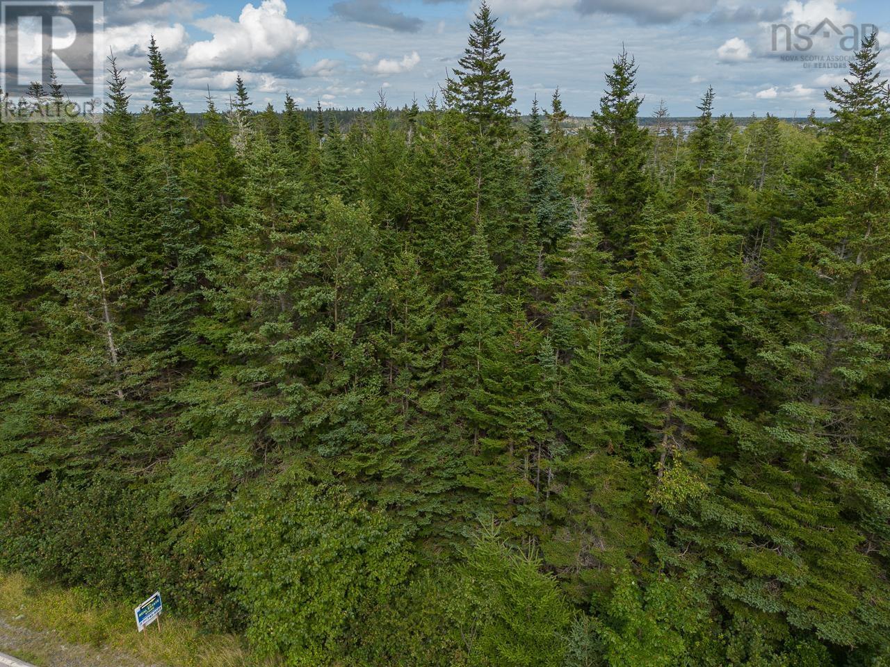 Lot Highway 308, Morris Island, Nova Scotia  B0W 3M0 - Photo 6 - 202610682