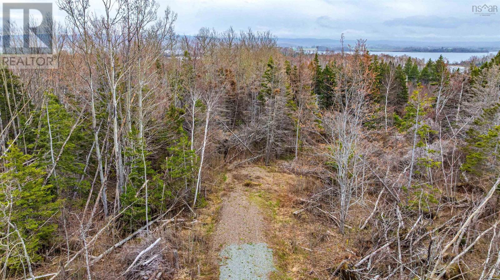 Lot 26-7 Big Island Road, Merigomish, Nova Scotia  B0K 1G0 - Photo 8 - 202611114