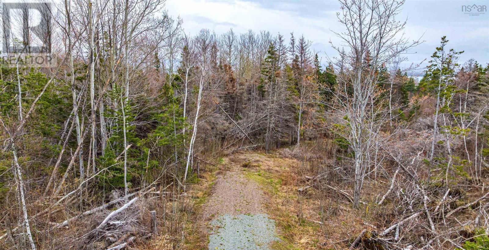 Lot 26-7 Big Island Road, Merigomish, Nova Scotia  B0K 1G0 - Photo 9 - 202611114