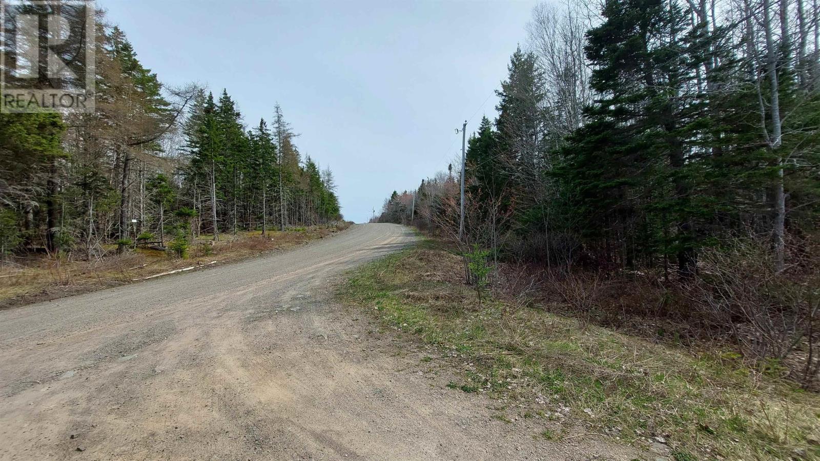 Lot 8 Evanston Rd, Evanston, Nova Scotia  B0E 1J0 - Photo 3 - 202611132